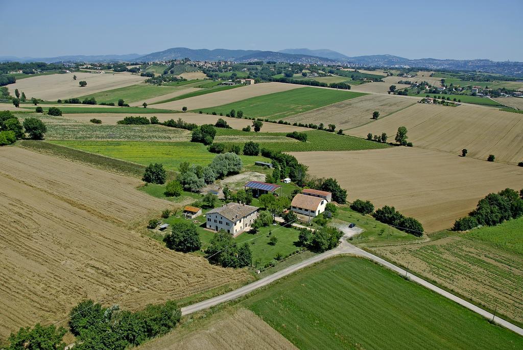 Fattoria Il Bruco Villa Pila  Dış mekan fotoğraf